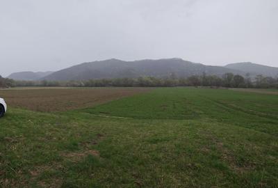 Teren de 4300 mp, în Gâlgău