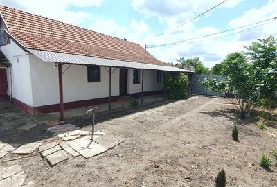 Casă cu 2 camere în Turnu - 3