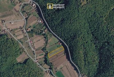 Teren Construcții intravilan de 4961 mp, în Stejar - 2