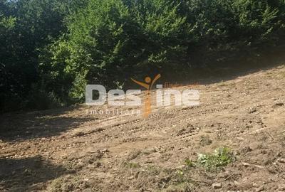Teren în Teșila
