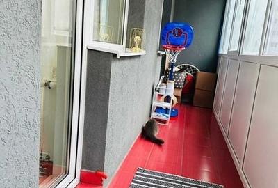 Apartament cu 3 camere decomandat în Mărăști - 6