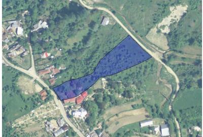 Teren de 5681 mp, în Ocnița