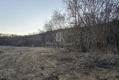 Teren agricol extravilan de 20 mp, în Daneș - 18
