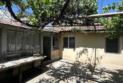 Casă cu Teren 14000 Mp în Bărăganul