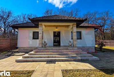 Casă cu 2 camere cu Teren 692 Mp în Șelimbăr - 19