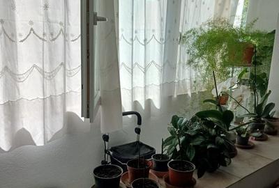 Apartament cu 3 camere în Confecții