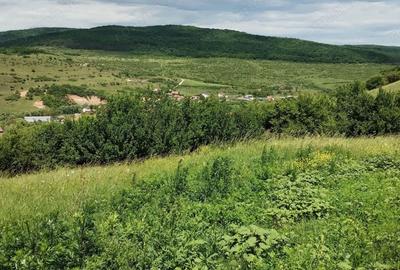 Teren de 2200 mp, în Rădaia - 3
