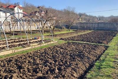 Teren de 650 mp, în Crăciunești - 1