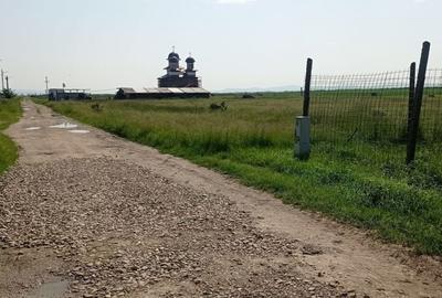 Teren de 550 mp, în Oșorhei - 3