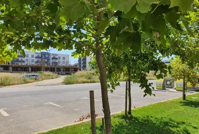 Apartament cu 3 camere decomandat în Titan