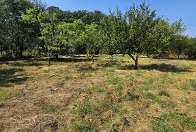 Casă cu 4 camere în Ghirdoveni - 1
