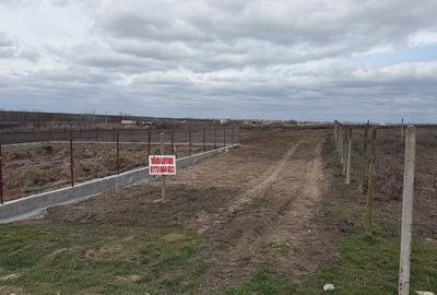 Teren de 570 mp, în Costi - 3