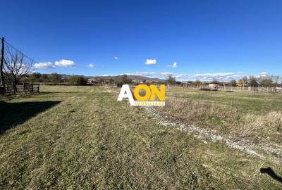 Teren Construcții intravilan de 410 mp, în Partoș - 1