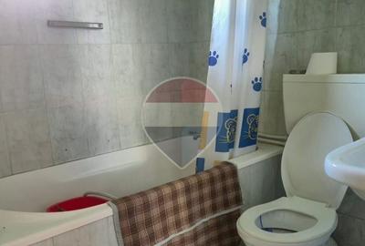 Casă cu 2 camere în Remeți