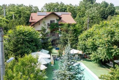 Casă individuală cu 10 camere cu Teren 1348 Mp în Sânbotin - 52
