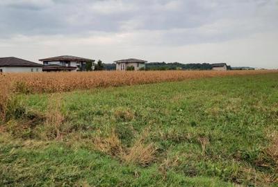 Teren Construcții intravilan de 4000 mp, în Țegheș - 3