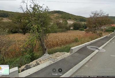 Teren de 1600 mp, în Ortelec - 3