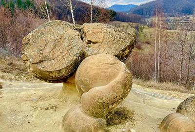 Teren în Cozieni - 3