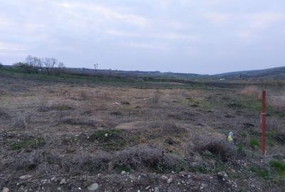 Teren agricol intravilan de 1000 mp, în Iris - 2