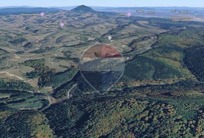 Teren agricol extravilan de 7083 mp, în Poiana Mărului