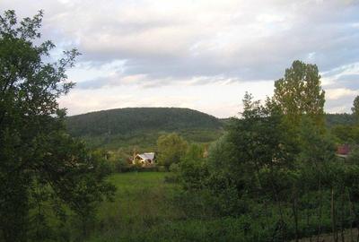 Teren Construcții intravilan de 6090 mp, în Călinești - 10