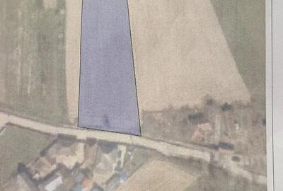 Teren de 1289 mp, în Dușești - 10