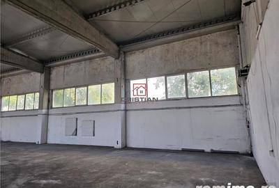 Spațiu comercial, în Domnești - 8