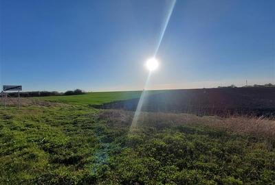 Teren agricol extravilan de 10000 mp, în Fântânele - 2