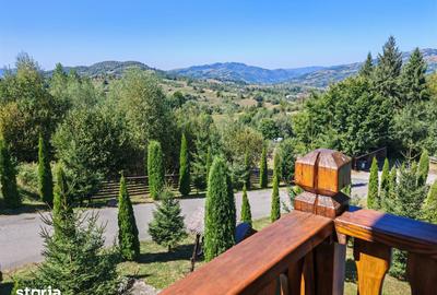 Casă cu Teren 2600 Mp în Moisei - 10