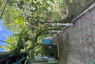 Casă cu 4 camere cu Teren 1094 Mp în Moravița - 10