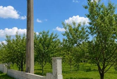 Teren de 1525 mp, în Periș
