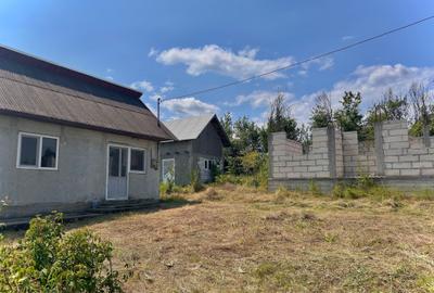 Casă cu 2 camere în Moșoaia - 3