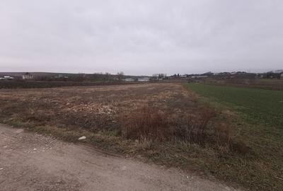 Teren agricol intravilan în Periferie - 3