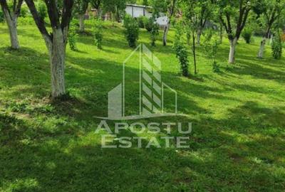 Casă cu 2 camere cu Teren 3515 Mp în Central