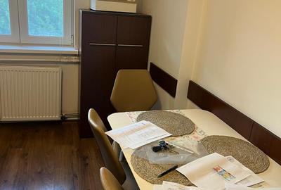 Apartament cu 2 camere decomandat în Bistrița Lac - 2