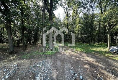 Teren de 1450 mp, în Jucu - 4