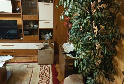 Apartament cu 3 camere decomandat în Exterior Vest - 4