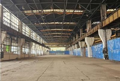 Spațiu industrial, de 5,900 mp, în Industrial - 6
