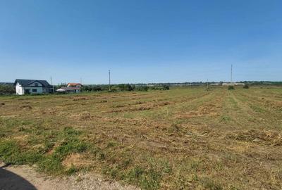 Teren de 9500 mp, în Hemeiuș