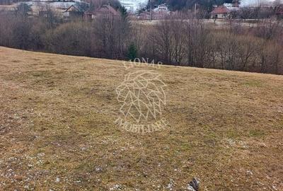 Teren de 8335 mp, în Săcuieu - 4