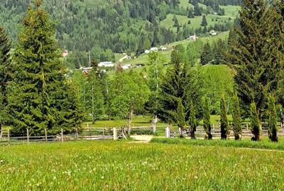 Teren de 2500 mp, în Șaru Dornei - 3