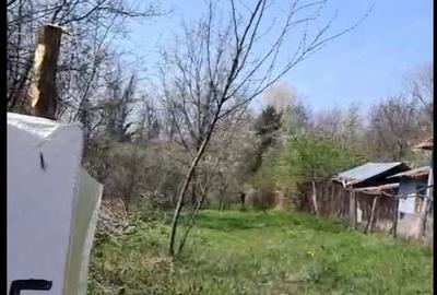 Teren de 3000 mp, în Cernelele - 3
