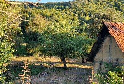 Casă cu 3 camere în Căpruța