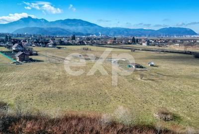 Teren Construcții extravilan de 3120 mp, în Turcheș - 19