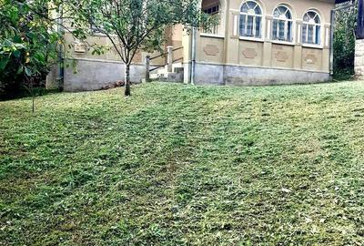 Casă cu 3 camere cu Teren 3800 Mp în Dobrin - 3