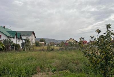 Teren de 3200 mp, în Ștefănești