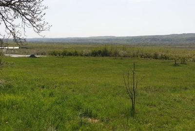 Teren de 2298 mp, în Izvoarele - 4