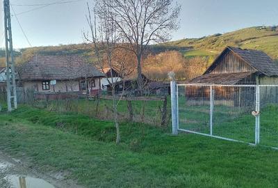 Casă cu 2 camere cu Teren 1568 Mp în Central - 5