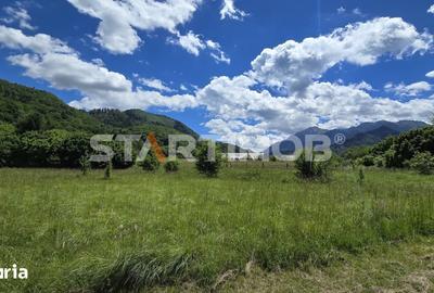 Teren de 5000 mp, în Glăjărie
