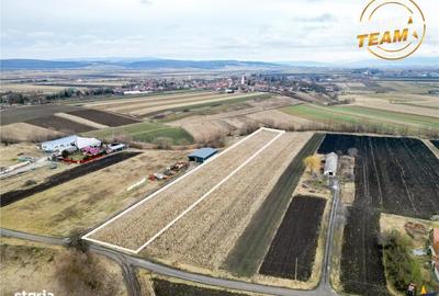 Teren de 5800 mp, în Ilieni - 3